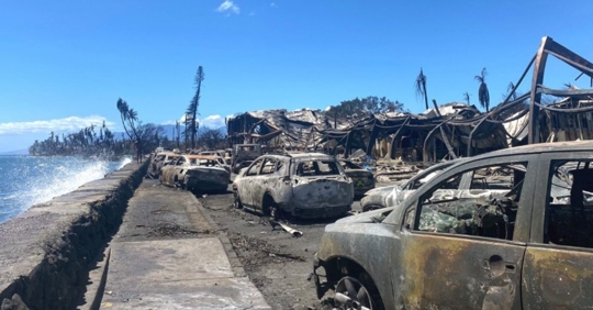 Maui wildfires aftermath